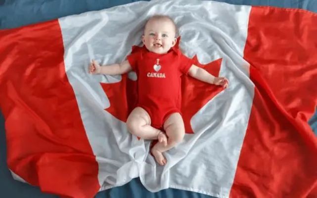 加拿大新生不够移民来凑！这个项目让你一步定居温哥华