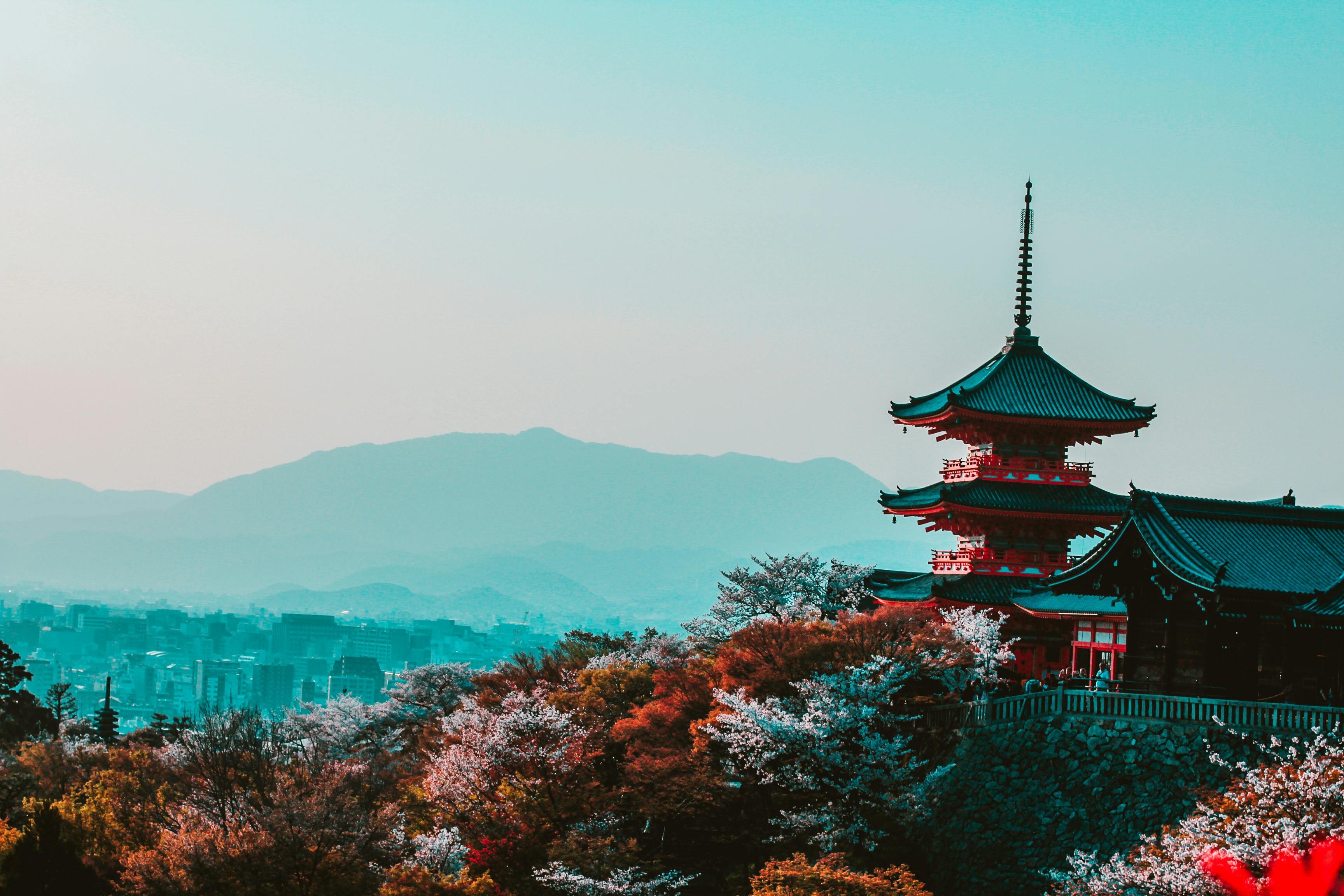 【成功案例】西安 Y先生 日本经营管理者签证